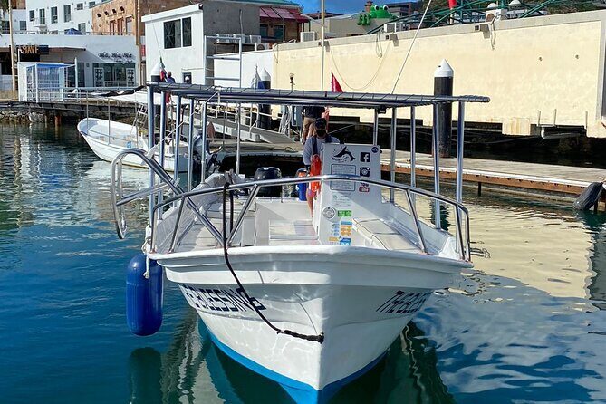 Cabo San Lucas Small-Group Whale Watching Tour: Hear the Whales - The real star: hydrophones that let you hear whales