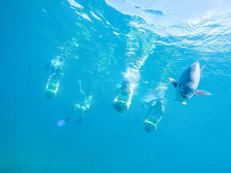 Cabo San Lucas: Snorkel, Paddle-board, and/or Kayak Tour - Key Points You’ll Care About