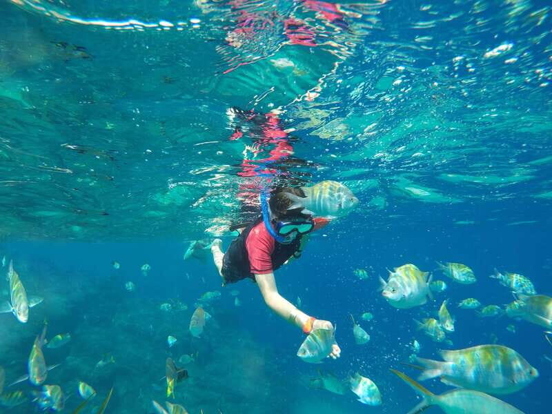 Cabo San Lucas: Snorkel, Paddle-board, and/or Kayak Tour - The “Try All Four” Advantage (Without Feeling Like a Race)