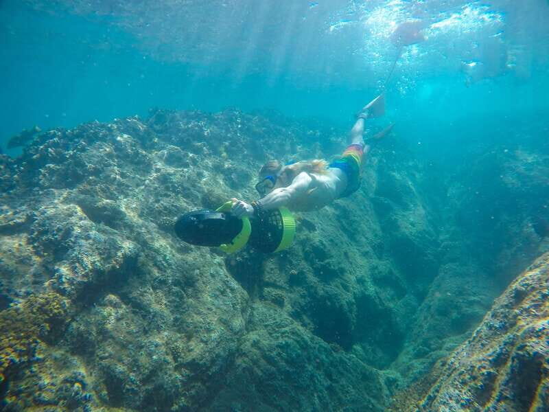 Cabo San Lucas: Snorkel, Paddle-board, and/or Kayak Tour - Dolphins, Turtles, Manta Rays, And Whale Season Clues