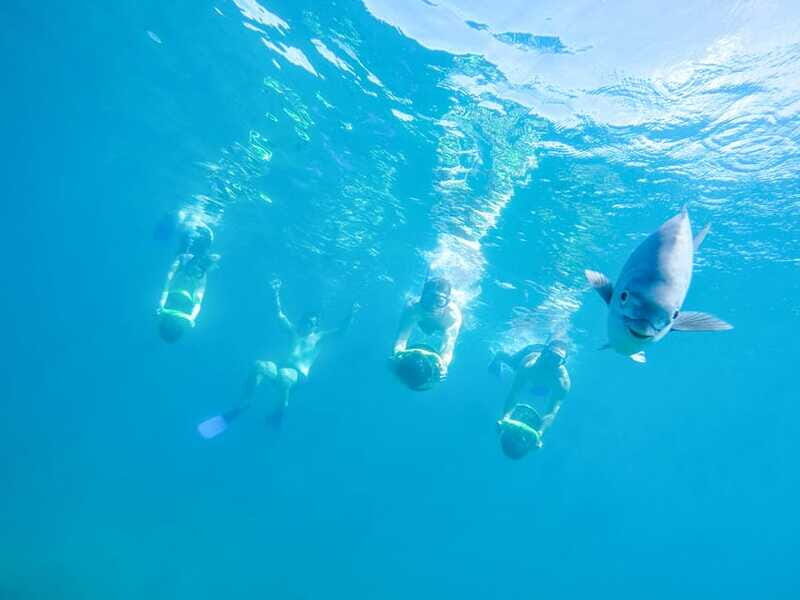 Cabo San Lucas: Snorkel, Paddle-board, and/or Kayak Tour - Sea Lions And The Cabo Arch: The Sightseeing Portion That Feels Worth It