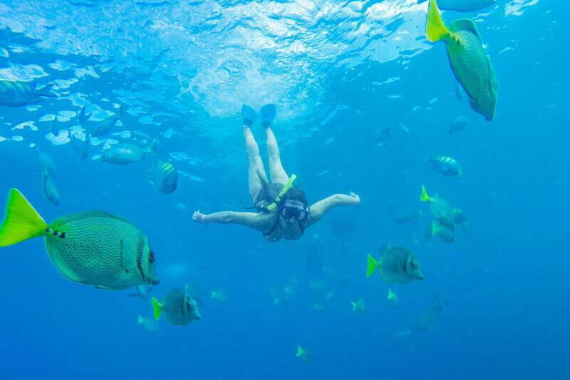 Cabo San Lucas: Snorkel, Paddle-board, and/or Kayak Tour - The Boat Ride That Actually Sets the Tone