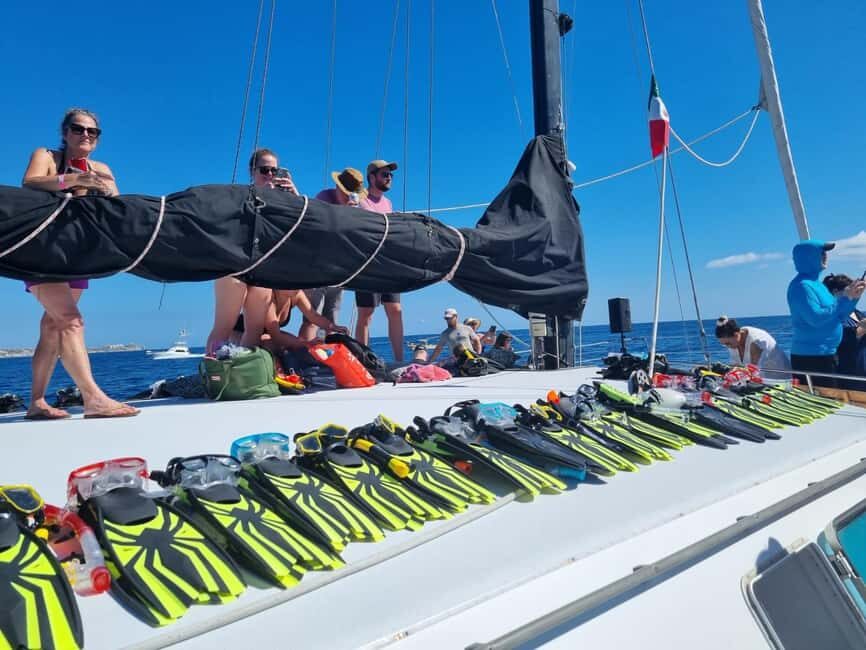 Cabo San Lucas: Snorkeling, Tacos and Chileno Bay Boat Tour - Snorkeling Setup and Safety: Certified Guide in Your Corner