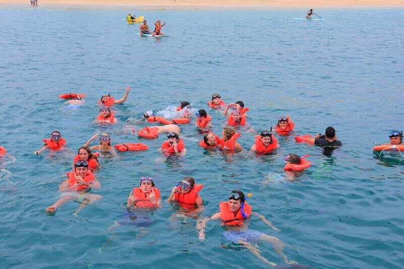 Cabo San Lucas: Snorkeling, Tacos and Chileno Bay Boat Tour - What’s Actually in the Box for $87: Open Bar, Tacos, and Snorkel Gear