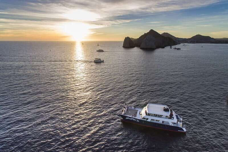 Cabo San Lucas: Sunset Dinner Cruise - Sea lions and marine life: what you might see (and when)