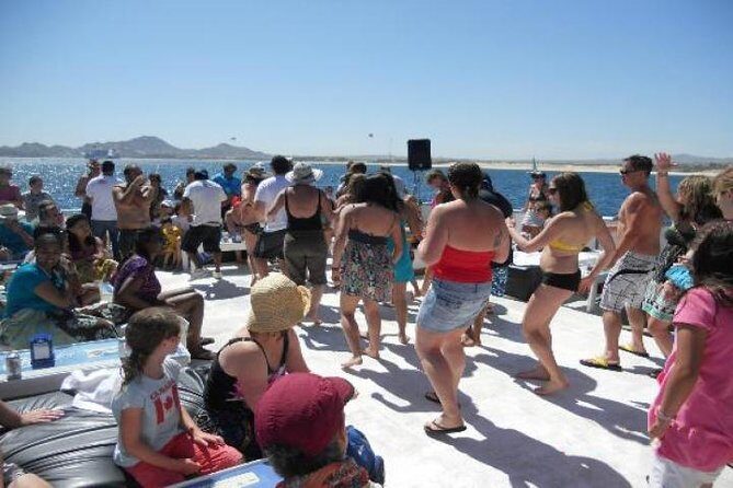 Cabo San Lucas Sunset Dinner Cruise with Open Bar - Check-in at Dock Zero: the place you can’t miss