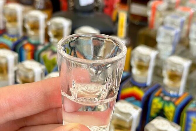 Cabo San Lucas Tequila Tasting and Mixology Class in Tasting Room - Key Highlights You’ll Actually Care About