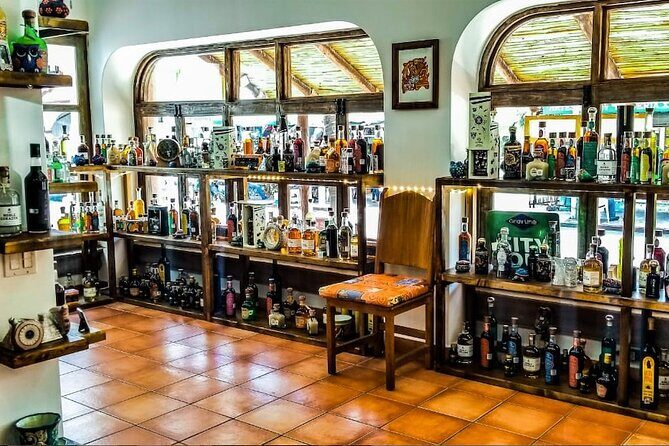 Cabo San Lucas Tequila Tasting Experience - Private Tasting at Tequilera Santos Destilados Centro: How the Session Works