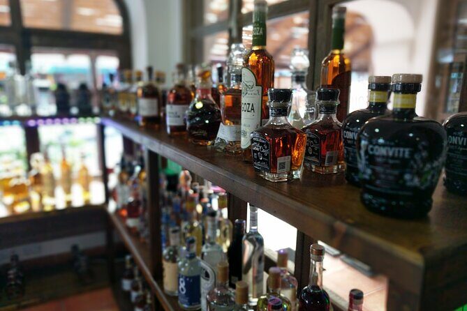 Cabo San Lucas Tequila Tasting Experience - Location and Timing: No Car Required, Easy to Build Into a Cabo Day