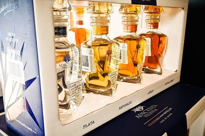 Cabo San Lucas Tequila Tasting Experience - Price and Value: Is $40 a Good Deal in Cabo?