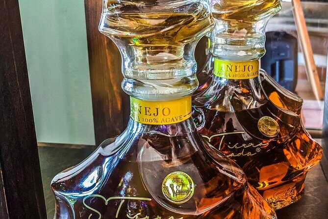 Cabo San Lucas Tequila Tasting Experience - Who This Cabo Tequila and Mezcal Tasting Is Best For
