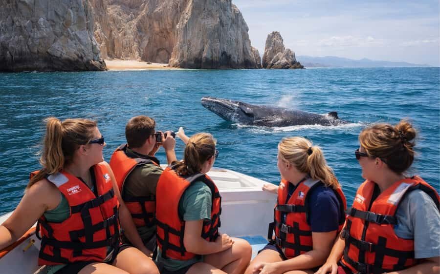 Cabo San Lucas Tour | Arch, Lover’s Beach & Whale Waching - Key Points at a Glance
