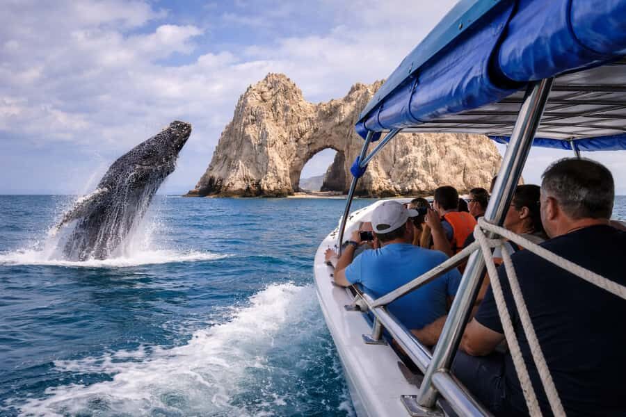 Cabo San Lucas Tour | Arch, Lover’s Beach & Whale Waching - Cruising El Arco, Lover’s Beach, and Land’s End by Boat