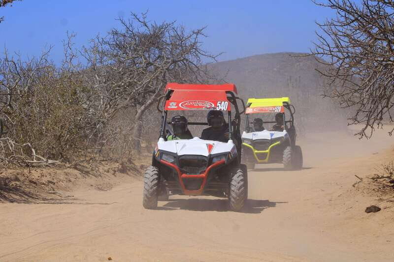 Cabo San Lucas: Tour en UTV playa desierto y tequila tasting - Quesadillas and Tequila Tasting: The Part That Turns the Day Social