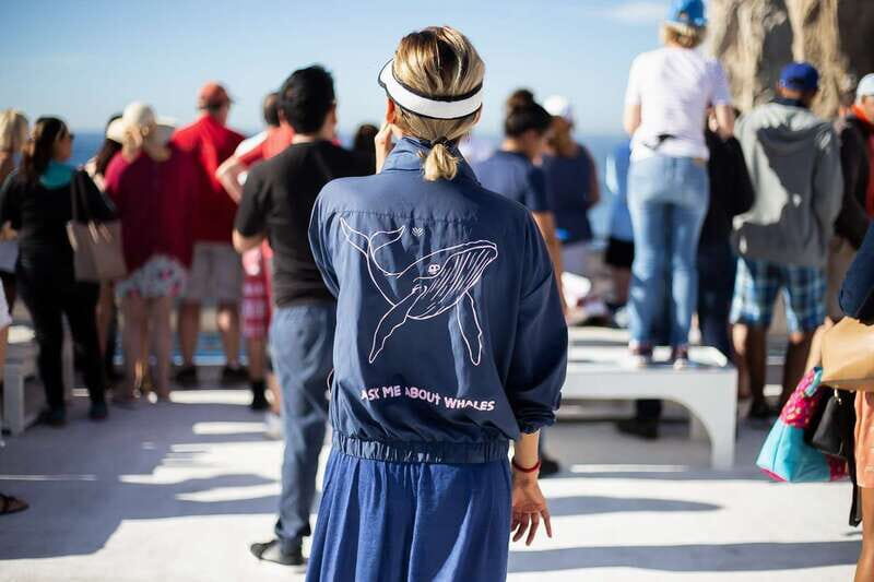 Cabo San Lucas: Whale Watching Breakfast Cruise - The 2-Hour Format: Great Value for a Morning, Not a Marathon