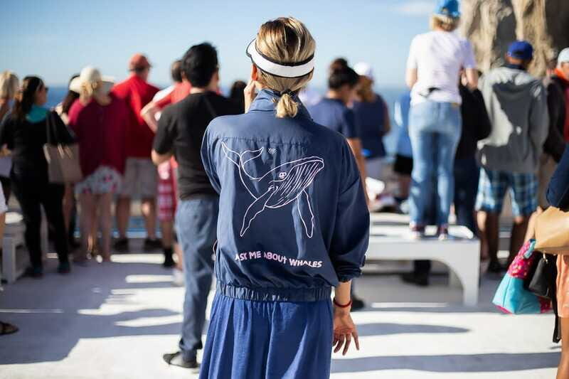 Cabo San Lucas: Whale Watching Breakfast Cruise - Open Bar and Service: Fun, Fast, and Practical