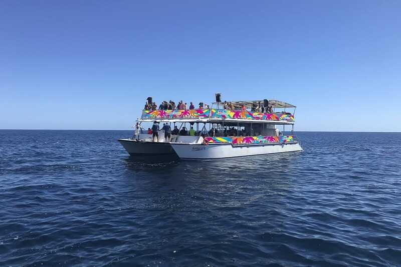 Cabo San Lucas: Whale Watching Breakfast Cruise - The Photo Add-On Lesson: Don’t Get Swept Into It