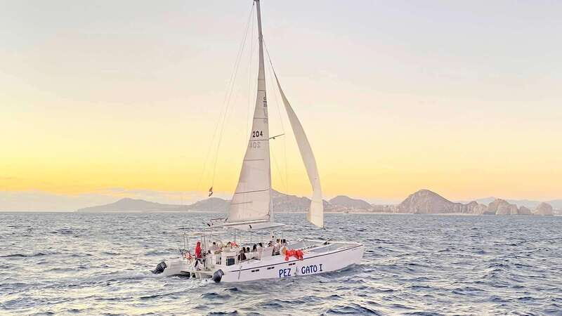 Cabo San Lucas: Whale Watching Experience on Catamaran - Seasonality and what to pack from December to March