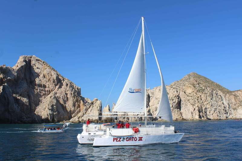 Cabo San Lucas: Whale Watching Experience on Catamaran - Pickup, punctuality, and avoiding the one pickup problem