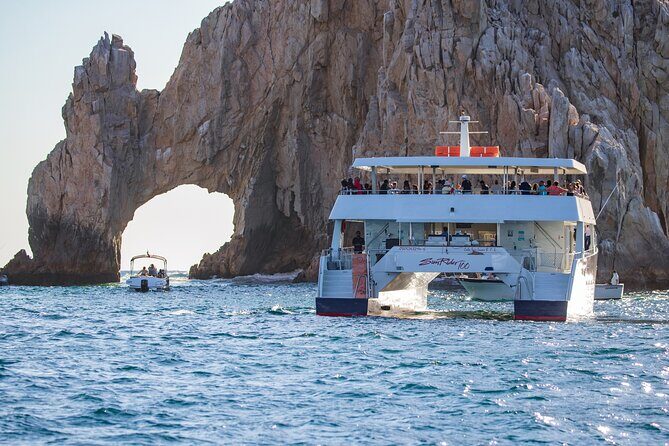 Cabo San Lucas Whale Watching Lunch Cruise - The whale watching part: how the crew finds gray and humpbacks