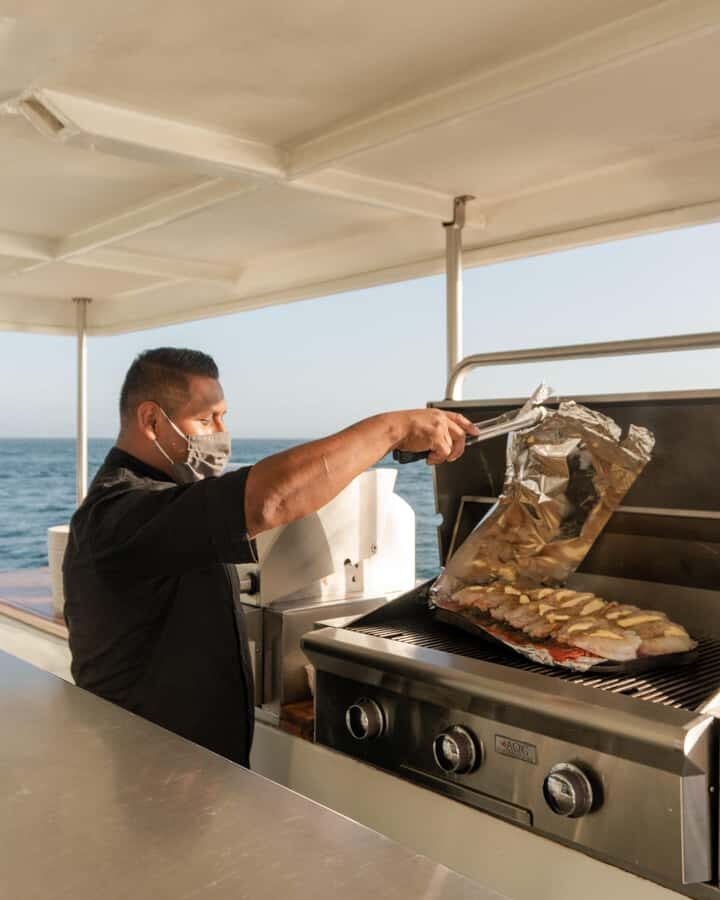 Cabo San Lucas: Whale Watching Tour with Buffet & Open Bar - Wheelchair Access and Who Should Book This Tour