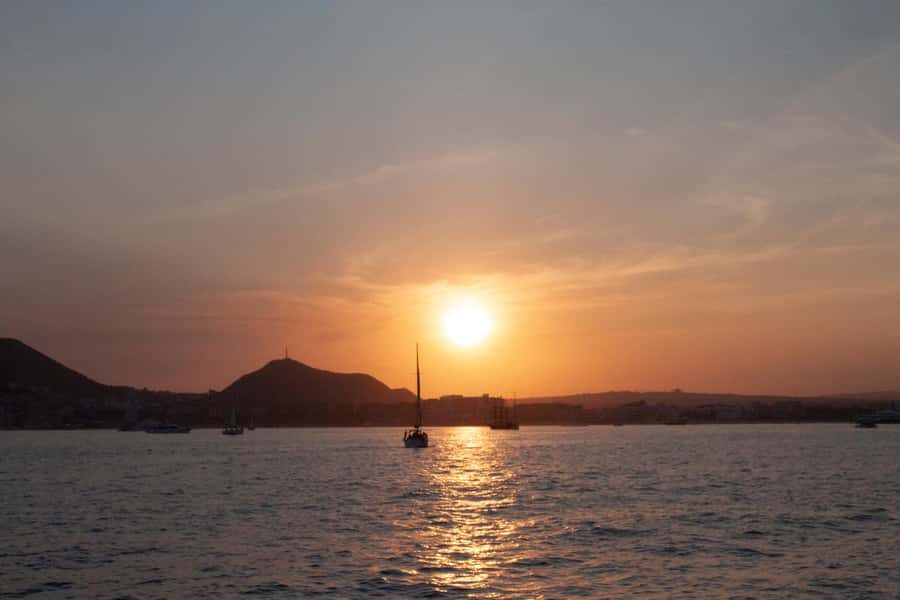 Cabo San Lucas: Whale Watching Tour with Buffet & Open Bar - Value Check: Is $115 Good for Cabo Whale Watching?