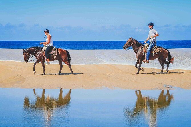 Cabo Shore Excursion: Beach Horseback Ride & Tequila Tasting - Playa Migrino: why this ride feels different