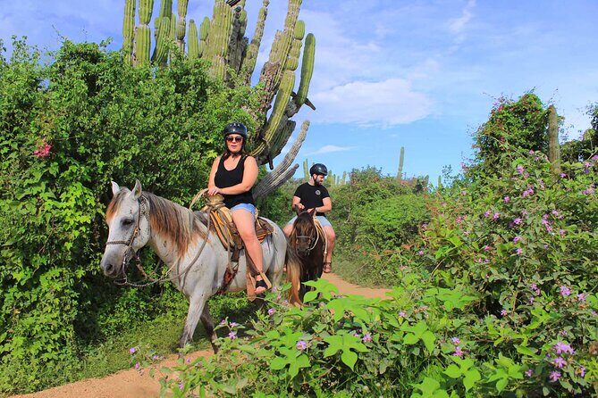 Cabo Shore Excursion: Beach Horseback Ride & Tequila Tasting - Stop 2: Los Cabos as a scenic transit moment