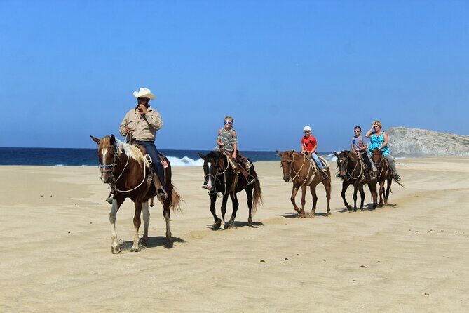 Cabo Shore Excursion: Beach Horseback Ride & Tequila Tasting - Horses and guide style: what beginners should watch for