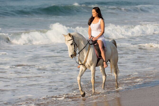 Cabo Shore Excursion: Beach Horseback Ride & Tequila Tasting - Getting there: pickup, meeting point, and how to keep it smooth