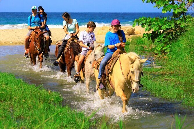 Cabo Shore Excursion: Beach Horseback Ride & Tequila Tasting - Cost and value: $70 plus the real-world extras