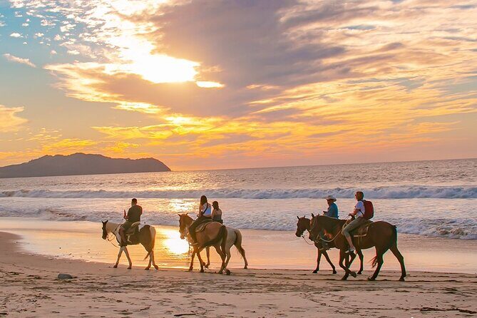 Cabo Shore Excursion: Beach Horseback Ride & Tequila Tasting - The 3-hour plan and what the timing means