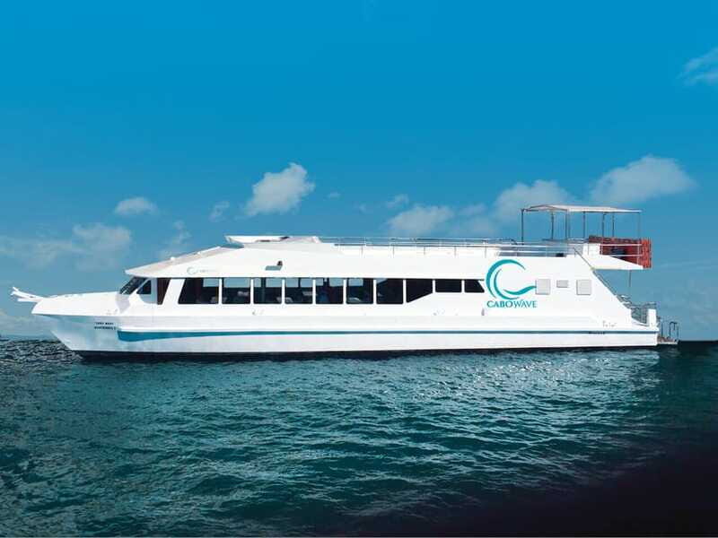 Cabo: Sunset Cruise with Dinner, Music & Open Bar - Who this cruise suits best in Cabo