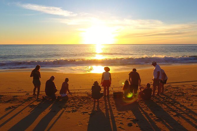 Cabo Turtle Release - Key Things I’d Zoom In On