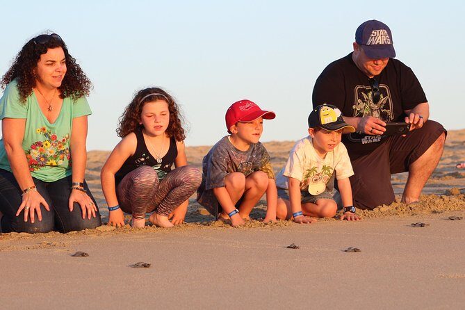 Cabo Turtle Release - The Marine Biology Lesson: Olive Ridley Basics You Can Actually Use