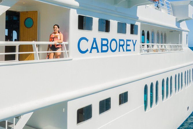 Cabo Whale Watch Three-Level Vessel and Majestic Arch - Whale Search Time: What the Two-Hour Experience Is Really About