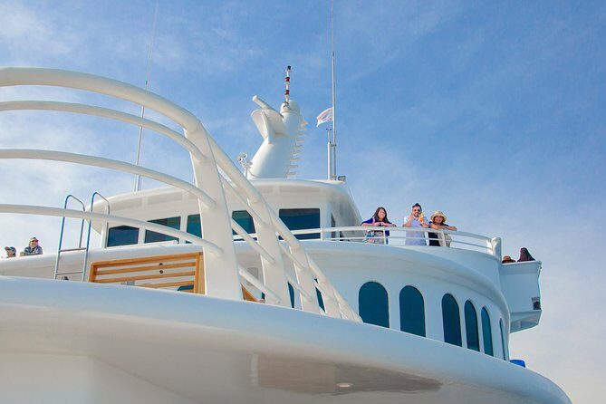 Cabo Whale Watch Three-Level Vessel and Majestic Arch - Who Should Book This Tour (and Who Might Want Something Else)