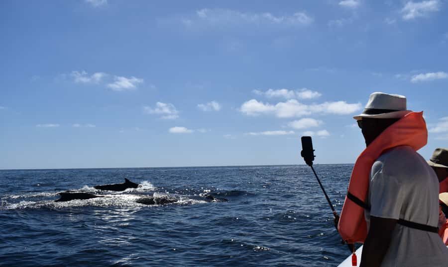 Cabo: Whale-Whatching Boat Trip w/ All-Women Crew and Photos - What to pack: your comfort kit for Cabo whale weather