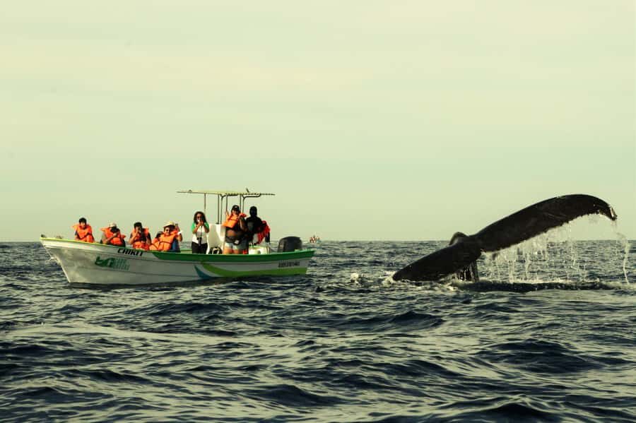 Cabo: Whale-Whatching Boat Trip w/ All-Women Crew and Photos - First stop: the Arch photo moment