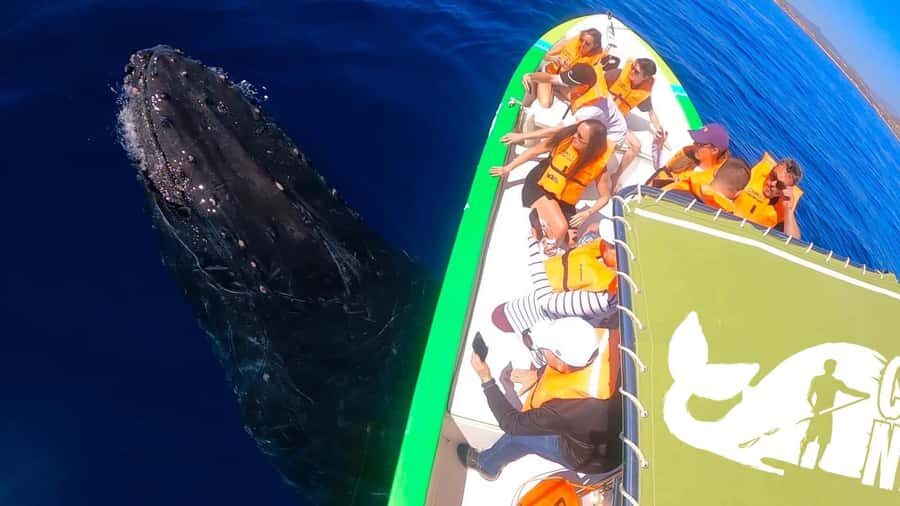 Cabo: Whale-Whatching Boat Trip w/ All-Women Crew and Photos - How the all-women team changes the vibe (and the care level)