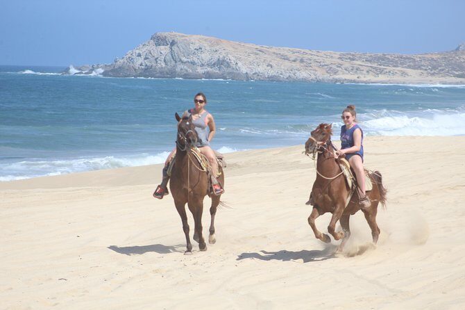 Cabo White Sand Horseback Riding Tour and Tequila Tasting - Key things to know before you go