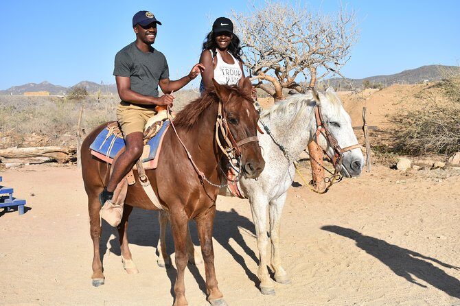 Cabo White Sand Horseback Riding Tour and Tequila Tasting - Desert riding: Baja trails, cactus country, and matching your pace