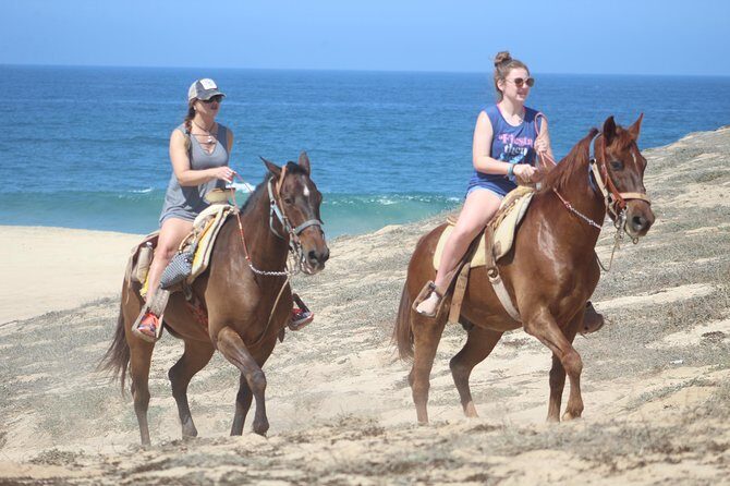 Cabo White Sand Horseback Riding Tour and Tequila Tasting - Beach riding and wildlife: whales, dolphins, turtles, and seals