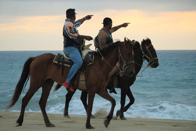Cabo White Sand Horseback Riding Tour and Tequila Tasting - The park entrance fee and the “extras” budget check