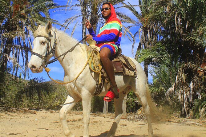 Cabo White Sand Horseback Riding Tour and Tequila Tasting - Tipping and photo pressure: how to keep control