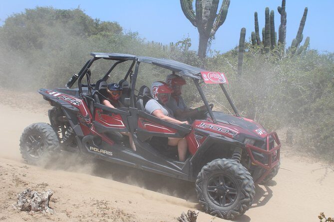 Cabo Wild Desert Tour, Polaris ATV or Razor Single, Double, Triple or Quad! - Who This Tour Is Best For (and Who Might Skip It)