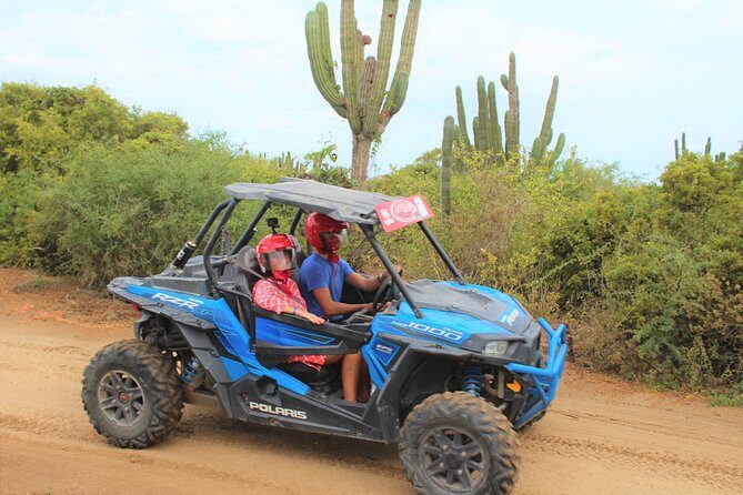 Cabo Wild Desert Tour, Polaris ATV or Razor Single, Double, Triple or Quad! - The ATV or RZR Choice: Polaris and Different Ride Setups