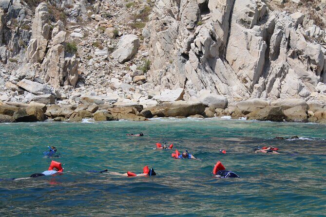 Cabo Wonders: Snorkeling at the Arch in Cabo - Snorkeling the Arch Route: What This Tour Feels Like