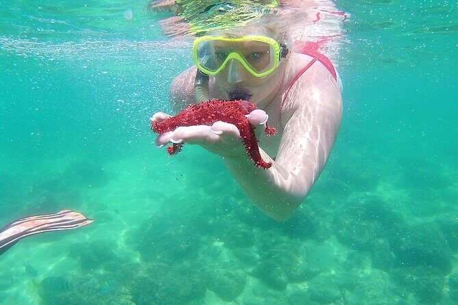 Cabo Wonders: Snorkeling at the Arch in Cabo - Weather Reality Check: How Wind Can Change Your Day