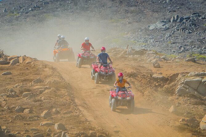 Cactus Combo Combine two of your favorite desert tours - Price Reality Check: The $99 Base Rate and the Fees That Follow